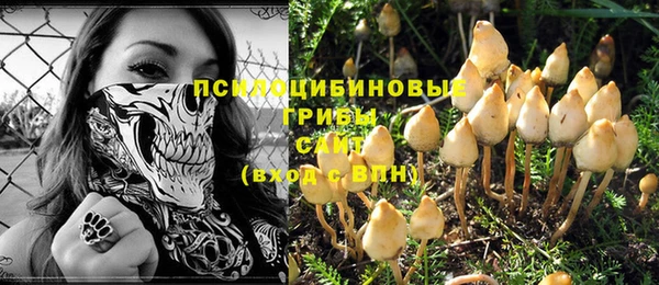 PSILOCYBIN Балабаново