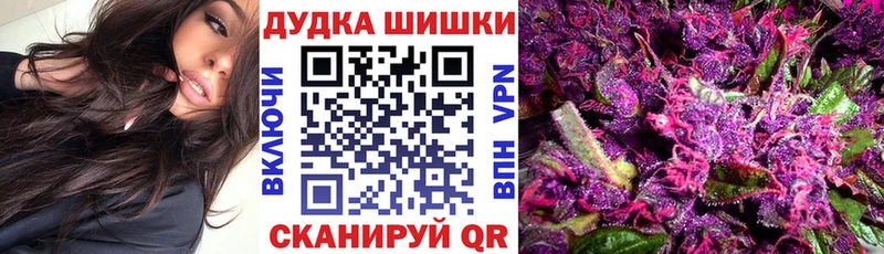 МАРИХУАНА Amnesia  Шагонар 